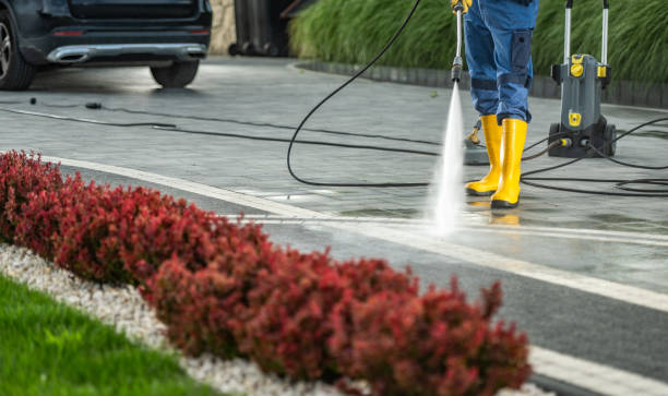 Best Patio and Deck Pressure Washing  in Mesita, NM